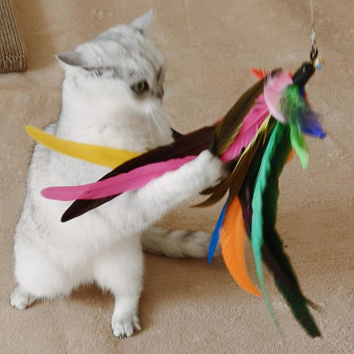 Nine piece premium replacement pack featuring colorful plush worms insects and bird feather refills for wand toys.