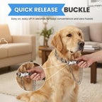 Authentic AKDNZ professional grade dog pinch collar packaging showing components
