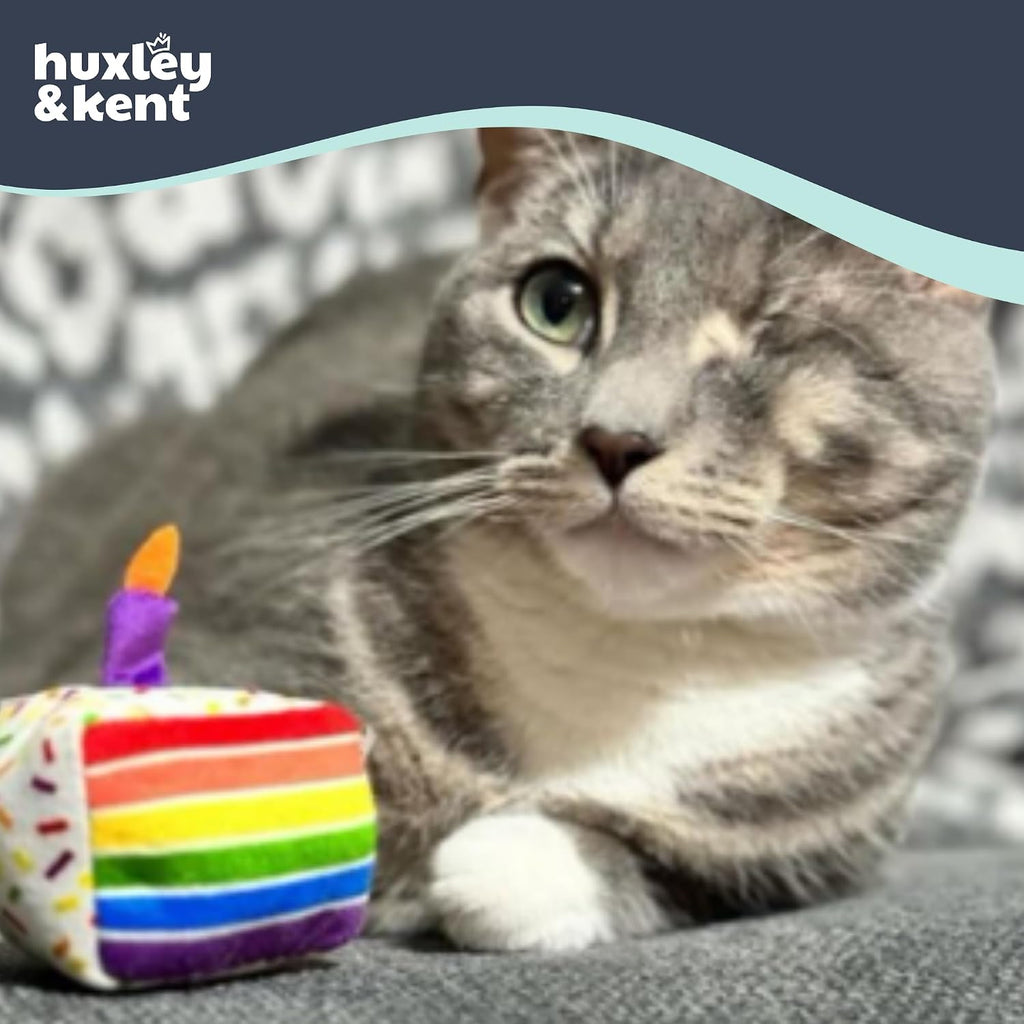 Close up view of the ultra soft baby plush texture on the Kittybelles birthday cake cat toy.