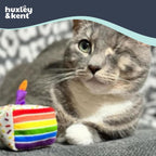 Close up view of the ultra soft baby plush texture on the Kittybelles birthday cake cat toy.