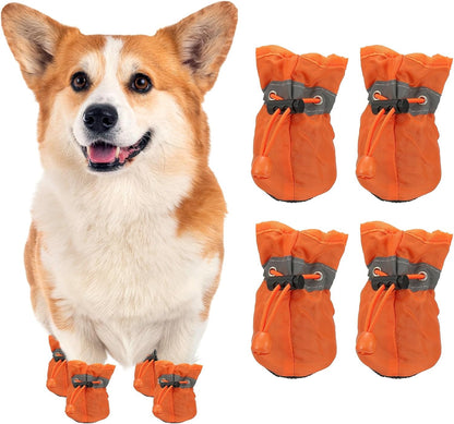 Small dog wearing Petaxcell reflective paw protectors