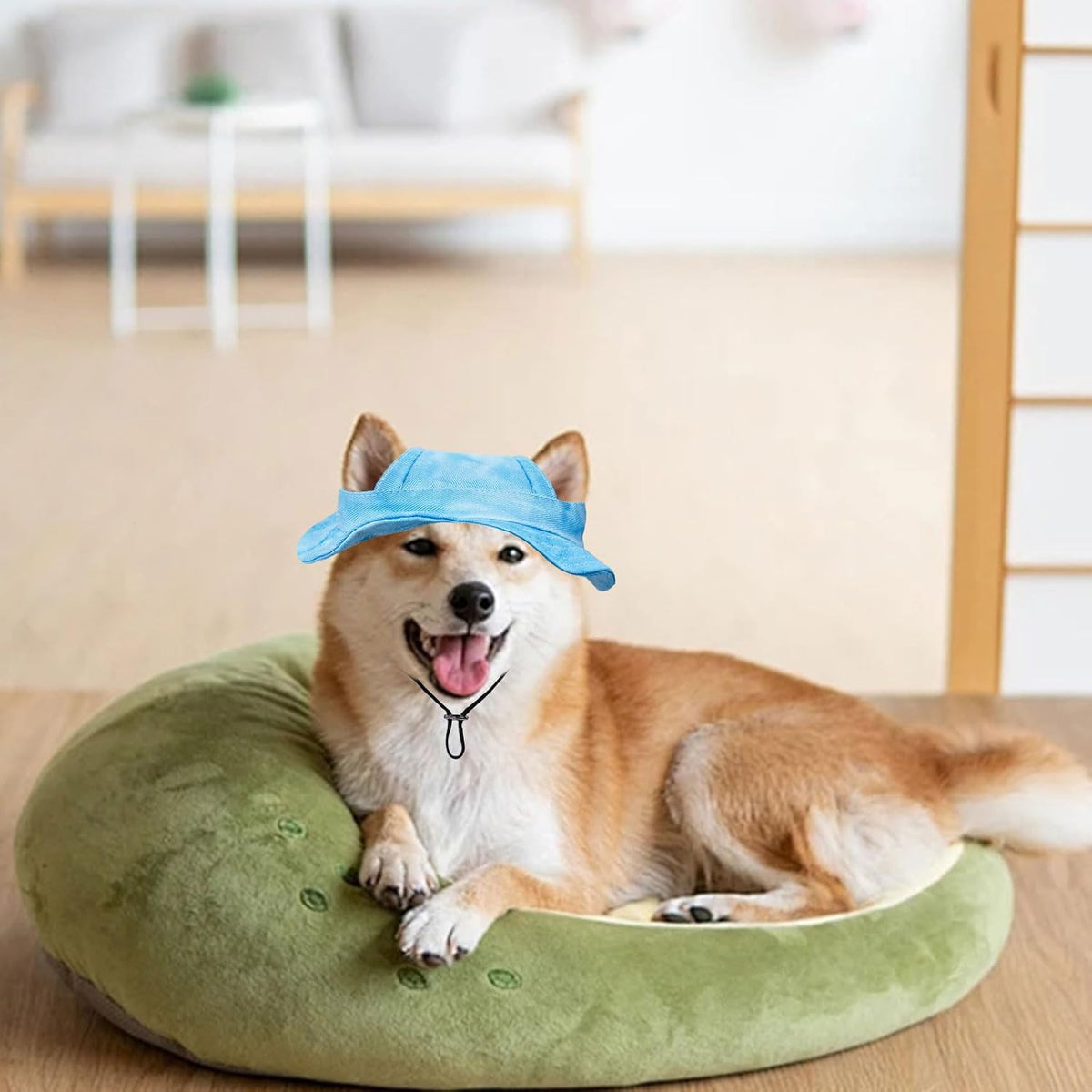 Top view of round brim dog hat for summer