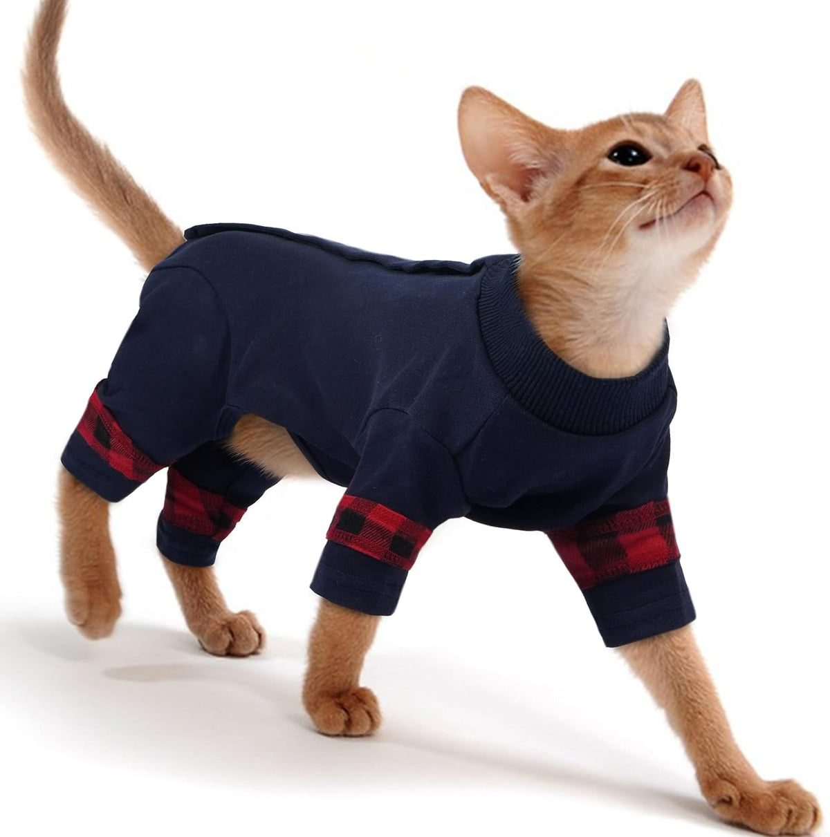 Pumyporeity cat pajamas recovery suit front view blue