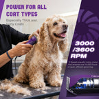 High-carbon steel detachable blades included in the professional grooming kit