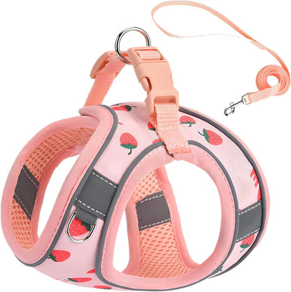 Flymind Step In Dog Harness and Leash Set front view strawberry pattern adjustable pet vest for small dogs.
