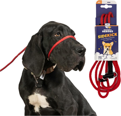 Heather's Heroes Sidekick Dog Headcollar with Leash - Sidekick Leash for Dogs, Effective Dog Training Tool for Leash Reactivity and Behavior Issues (Turquoise, Mini (1/4")) - Image 13