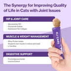 Premium authentic USA imported pet supplement packaging
