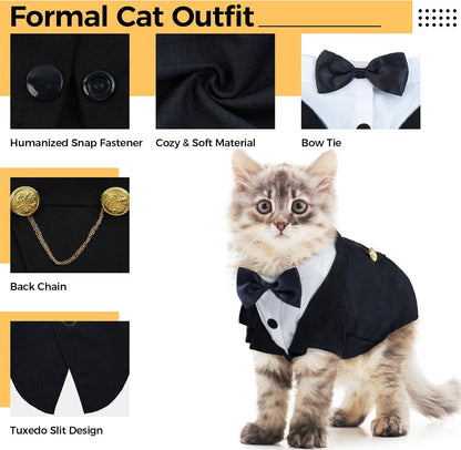 Rear view of cat tuxedo showing decorative buttons