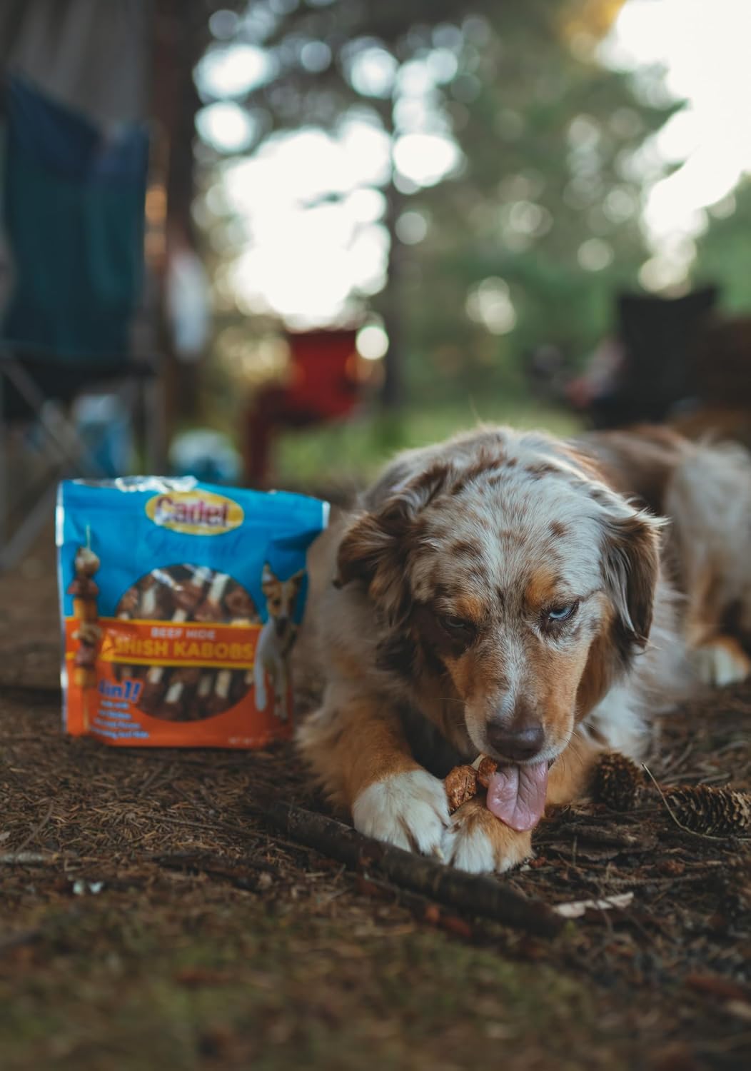 Long lasting beef hide dog chew for adult dogs
