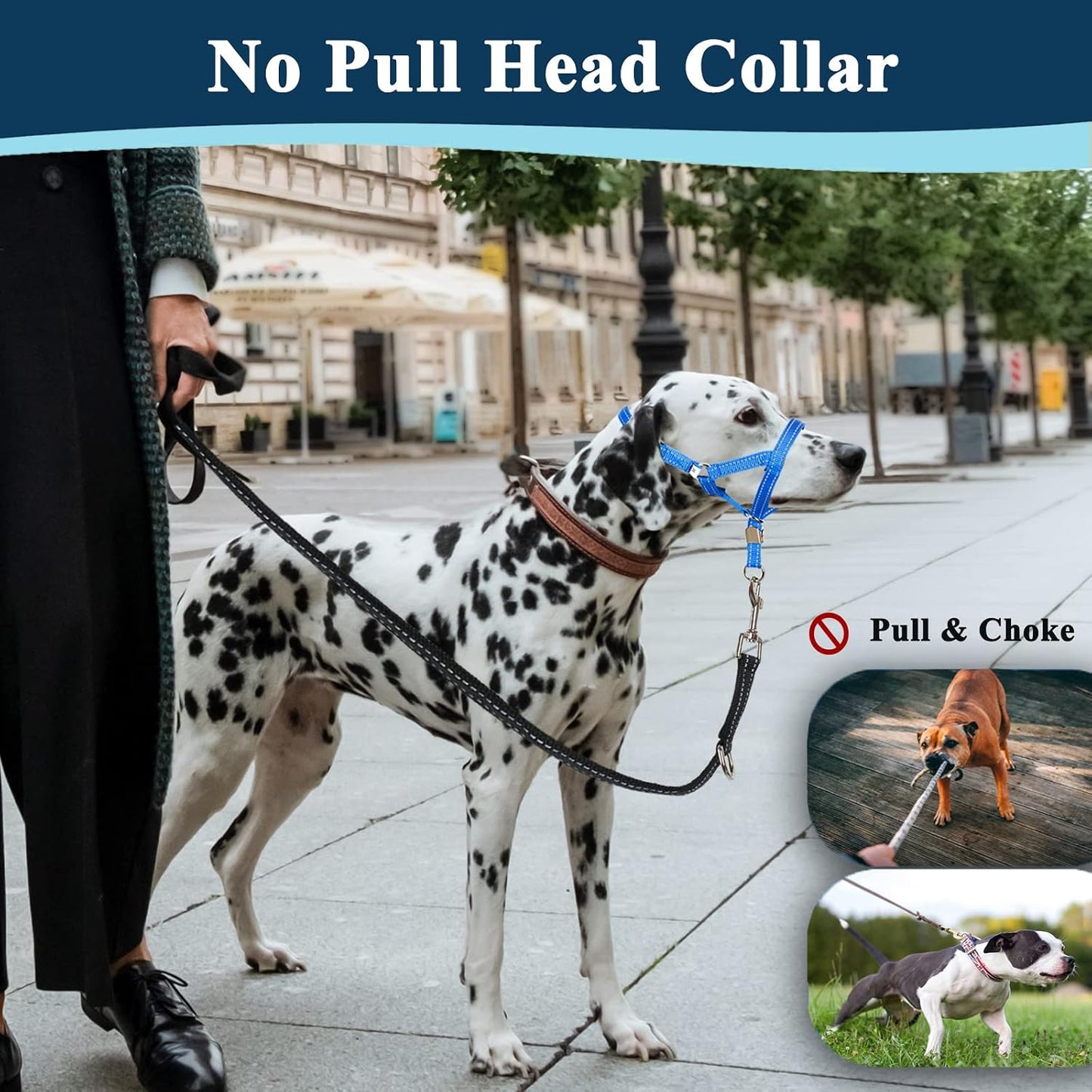 Barkless reflective dog halter safety clip detail