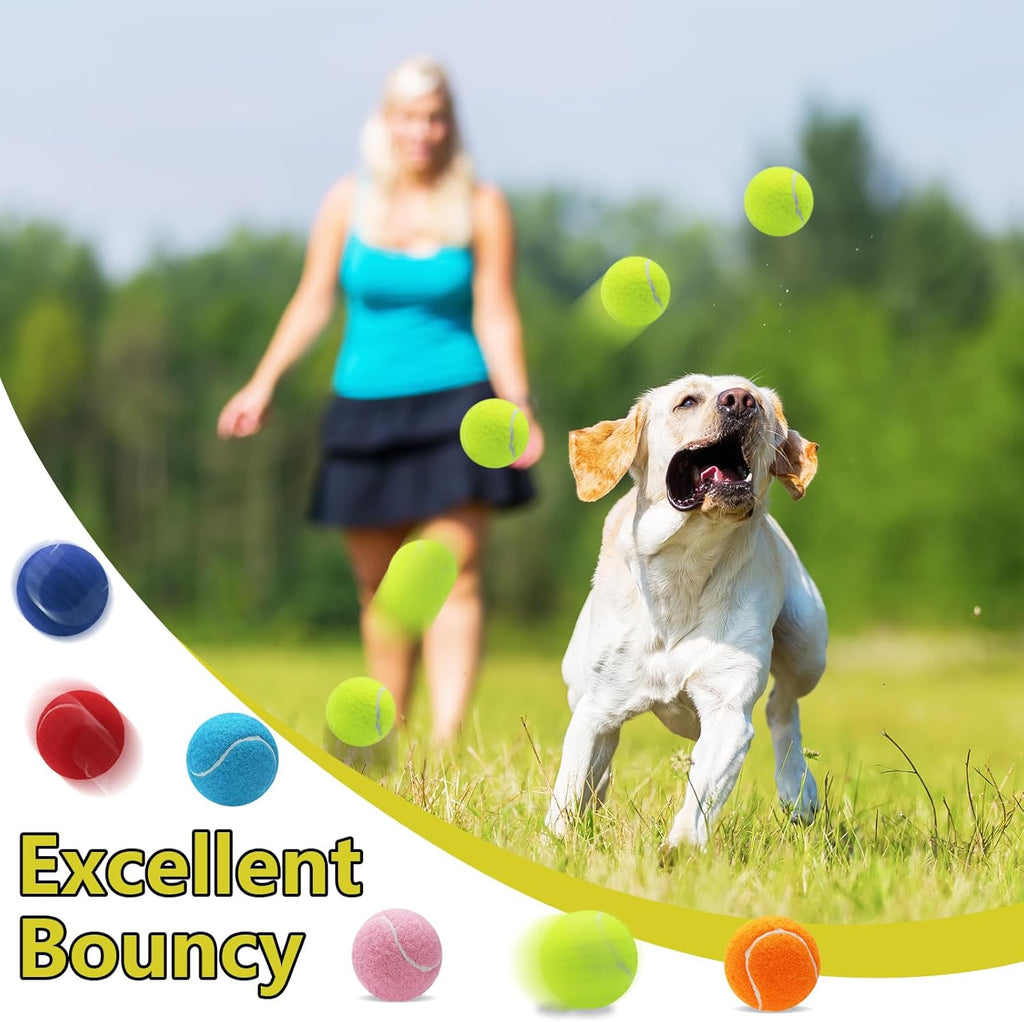 Swingers dog tennis balls inside reusable mesh bag