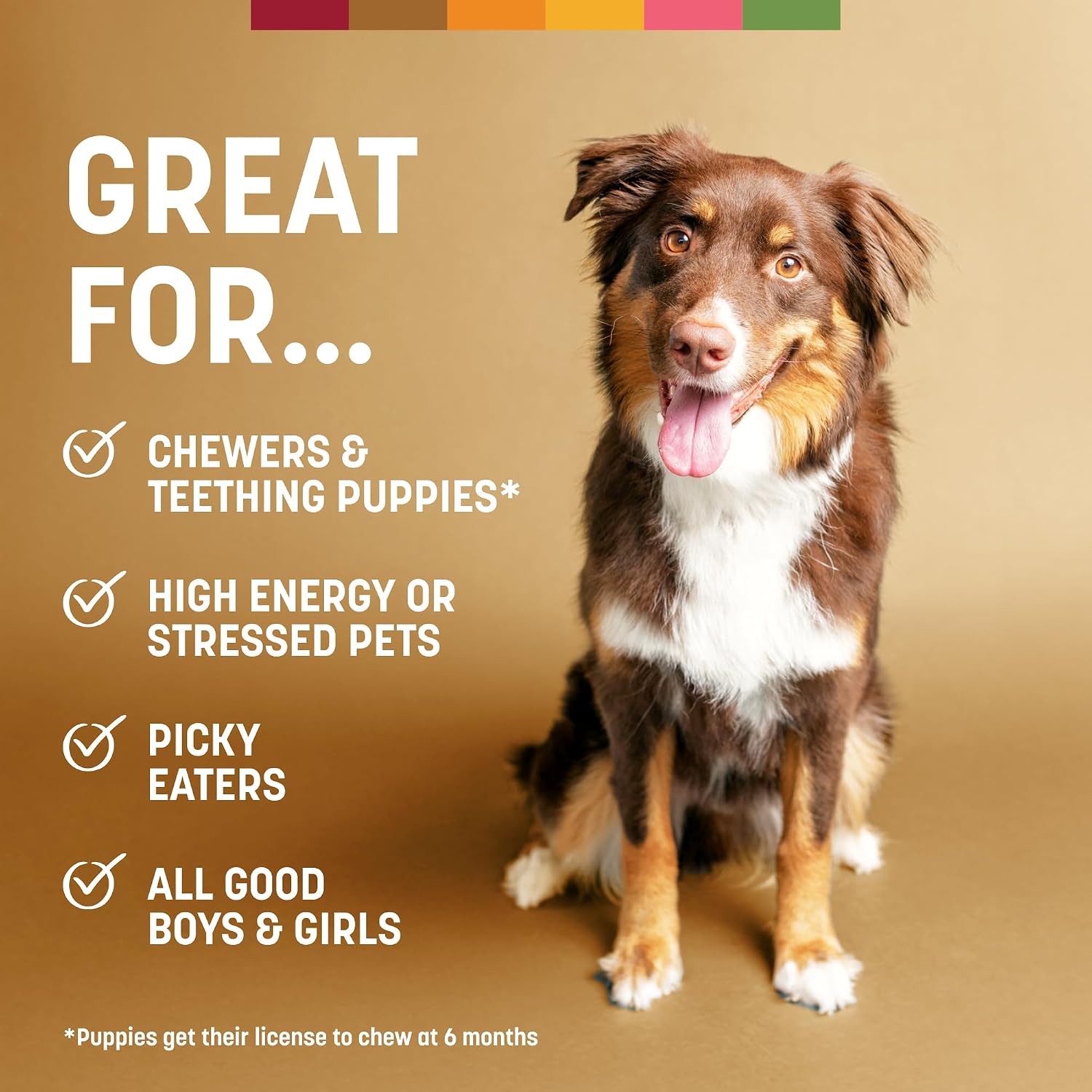 Premium USA imported dog dental chews Earth Animal brand