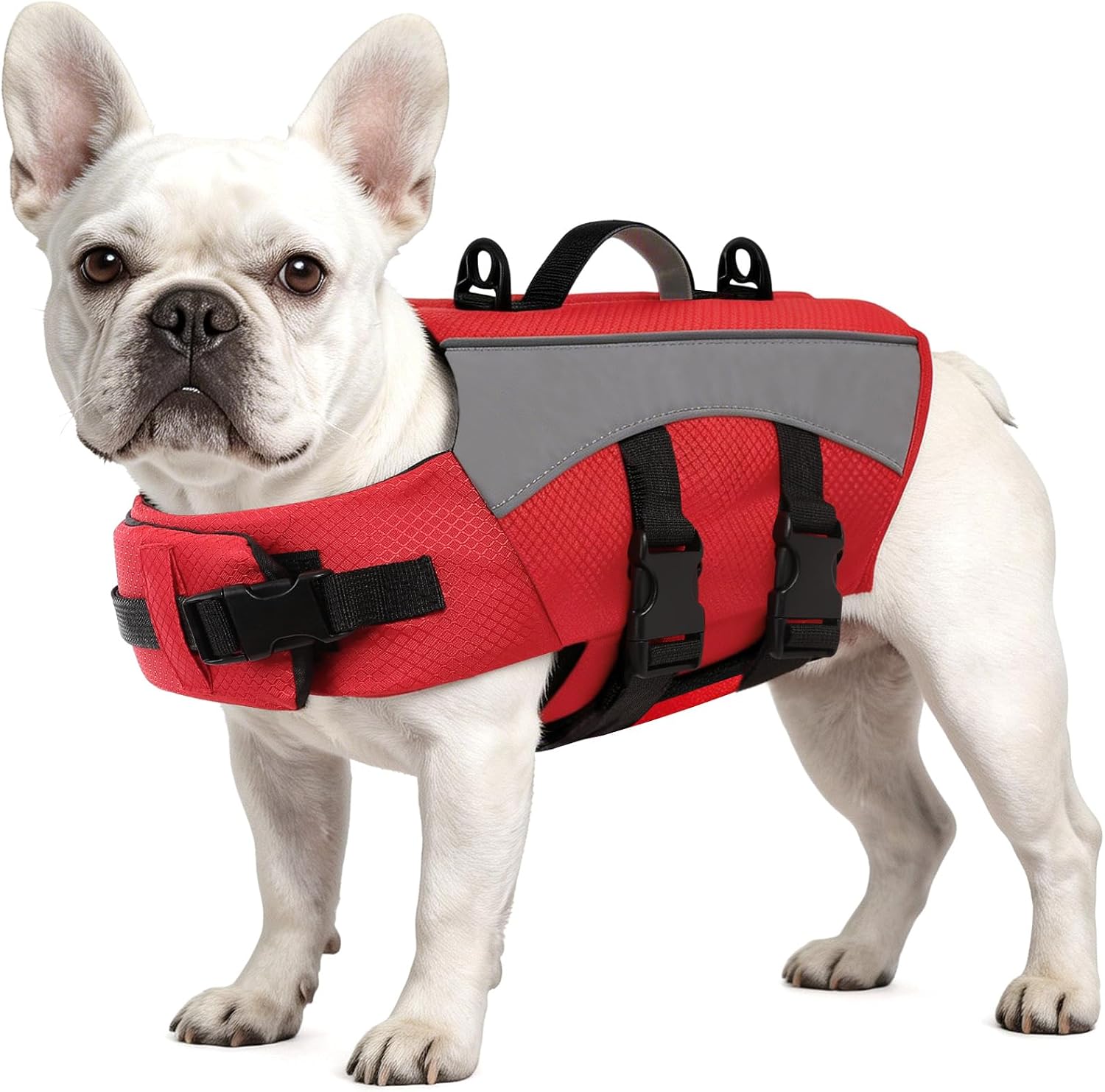 ASENKU Dog Life Jacket with Reflective Stripes, Adjustable High Visibility Dog Safety Vest, Ripstop Lifesaver, Pet Preserver with High Flotation Swimsuit for Small, Medium and Large Dogs (Red, 2XL) - Image 12