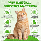 Natural hairball treatment liquid for indoor cats with glass dropper