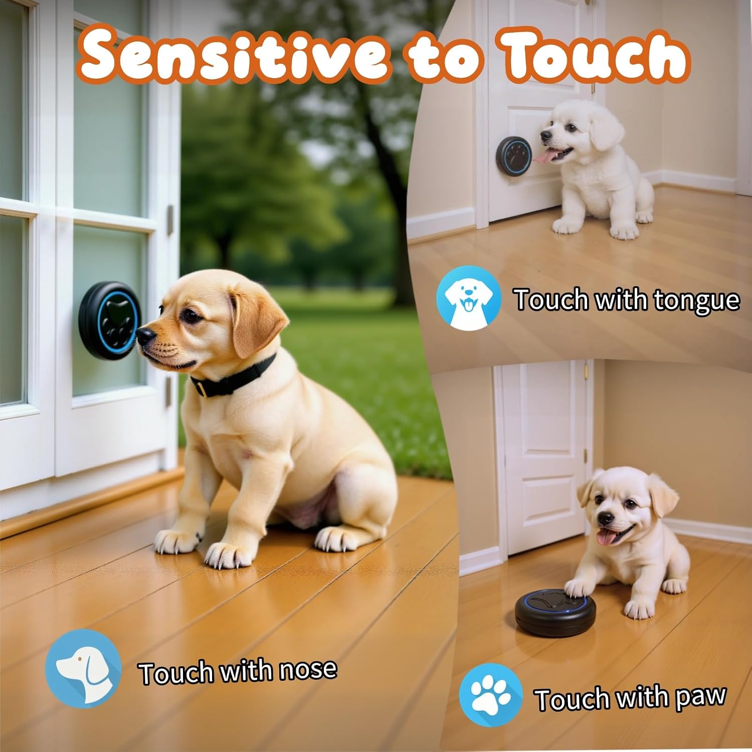 Kinetic energy transmitter for dog potty training