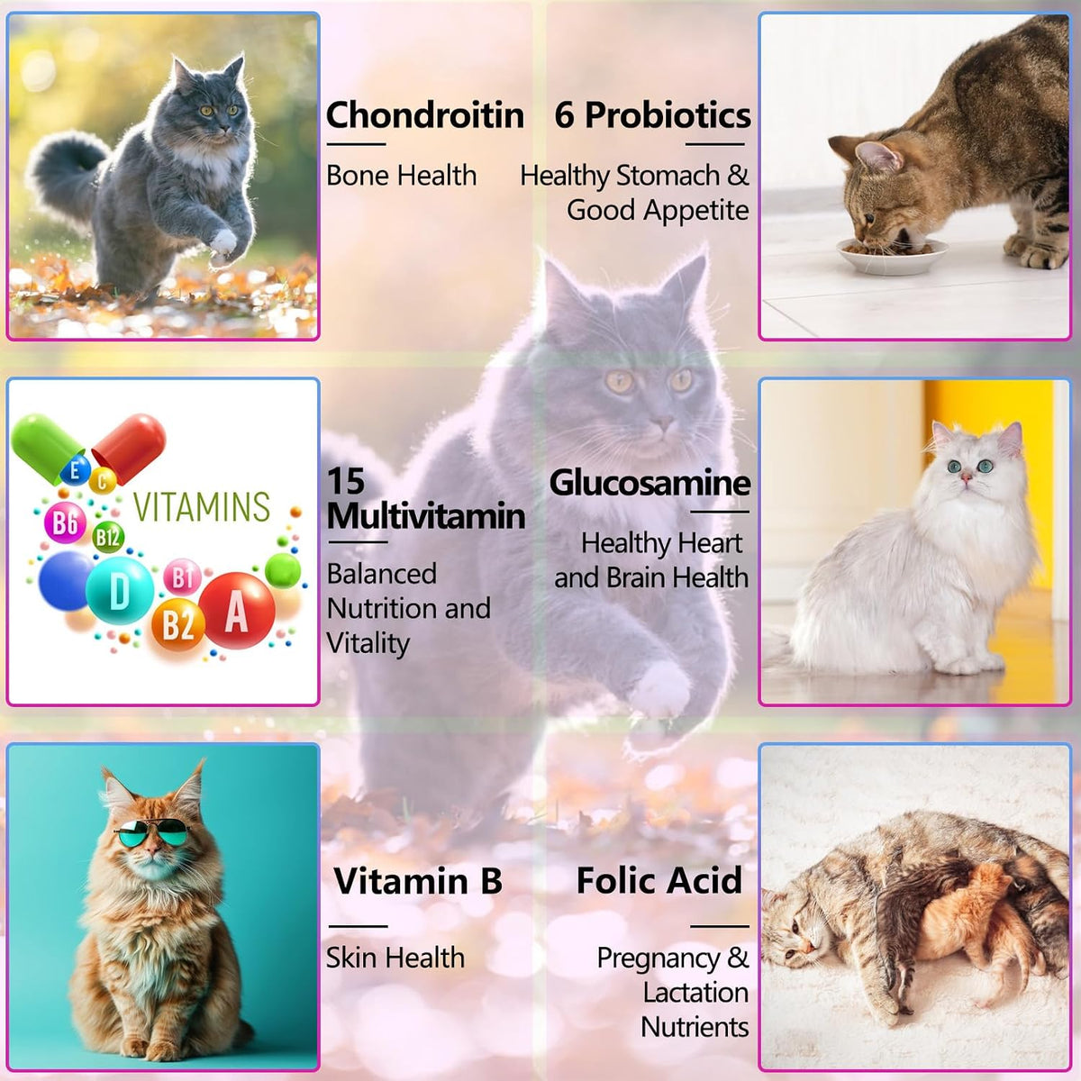 Liquid cat multivitamin drops for urinary bladder and heart support