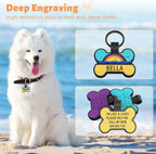 Waterproof non toxic silicone dog tag attached to a collar