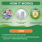 Puyrzoe flea and tick collar worn on a dog demonstrating fit