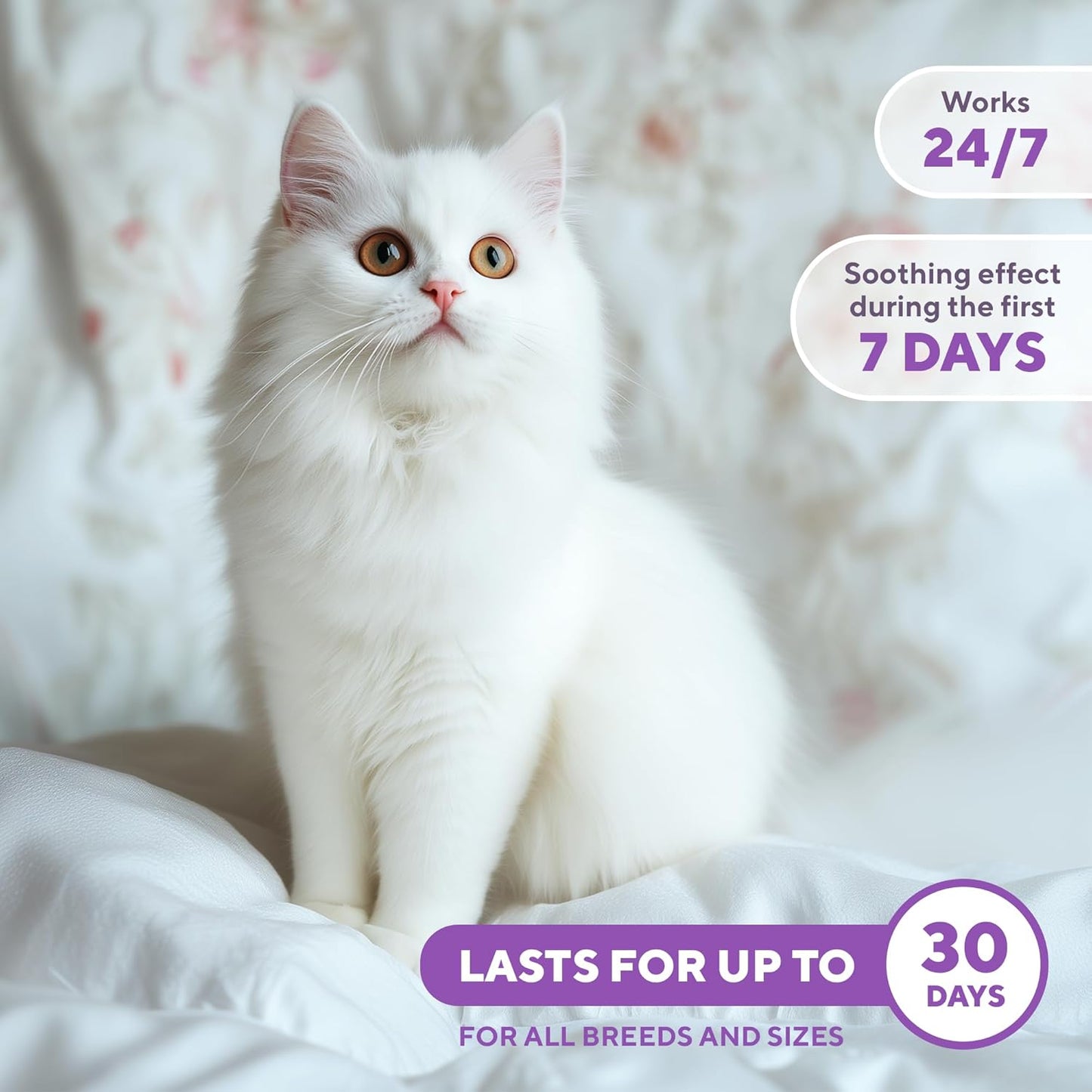 Pet travel anxiety spray applied to a carrier for comfort