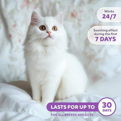 Pet travel anxiety spray applied to a carrier for comfort