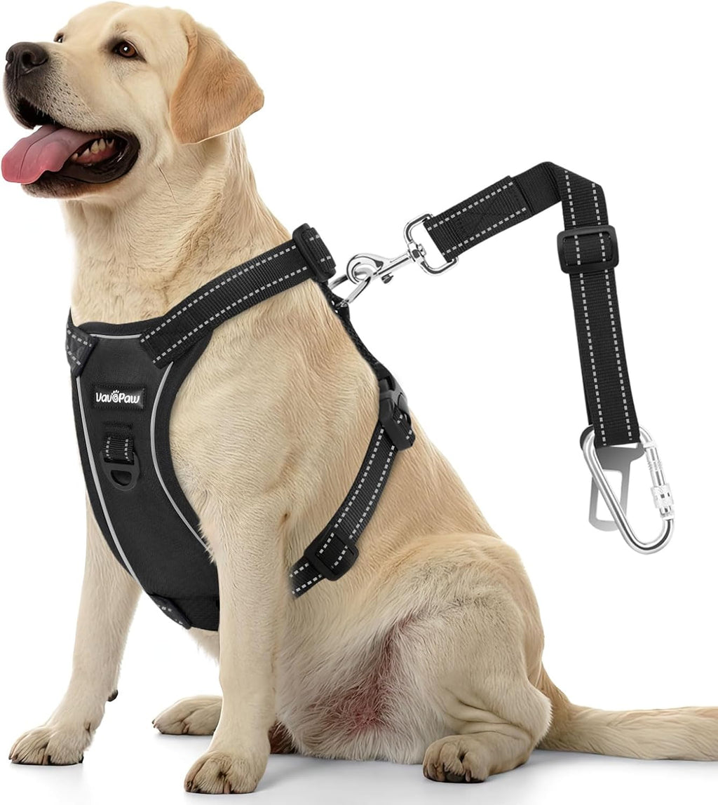 VavoPaw heavy duty carabiner for dog car safety