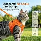 Nitvei step in cat harness back view highlighting the secure leash attachment rings