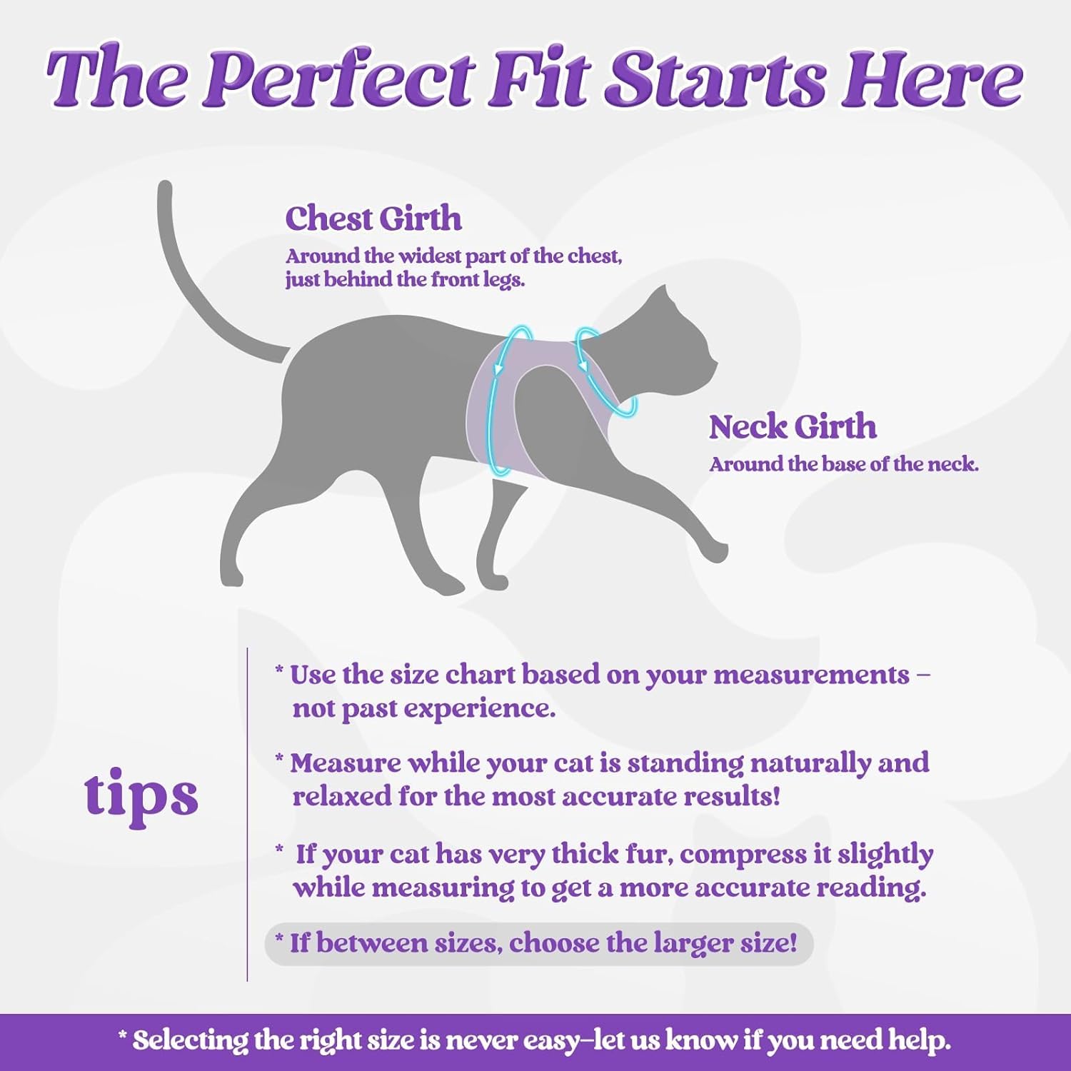 Step in escape proof kitten harness vest closure details