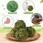 Authentic imported USA small pet interactive foraging balls set