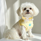 Babole Pet dog collar material texture close up