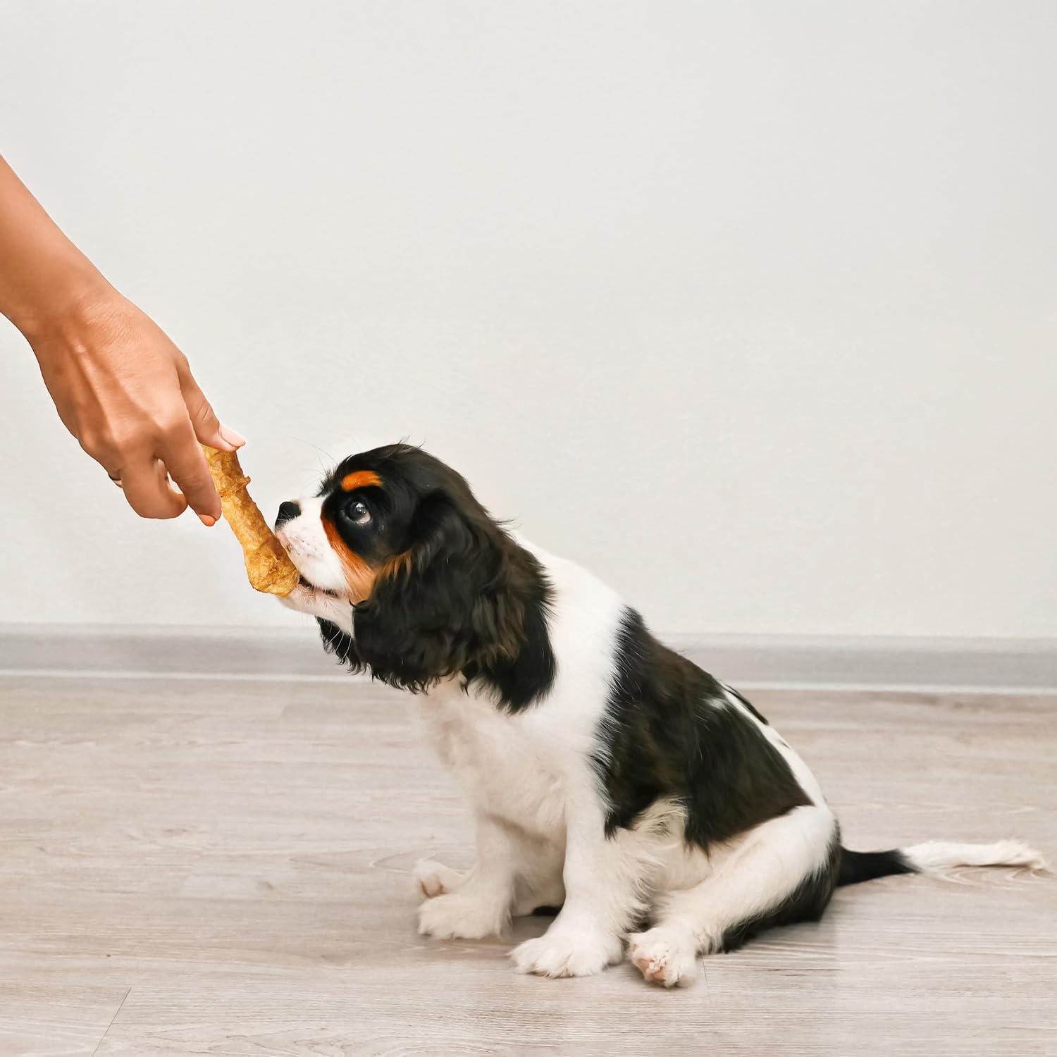 Back label of Fieldcrest Farms dog treats showing product information and guidelines