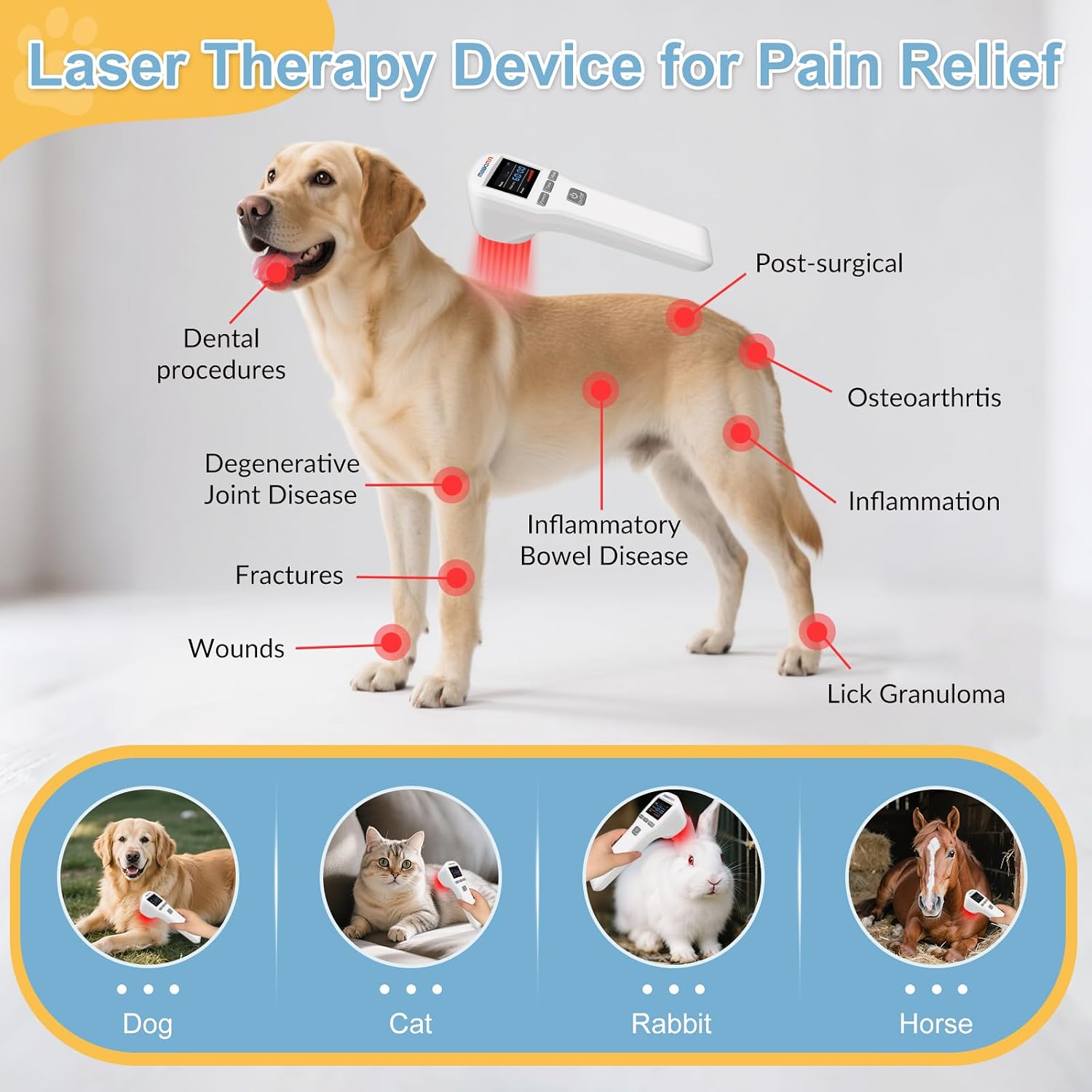 MBBQNN red light therapy device being used on a dog for joint relief