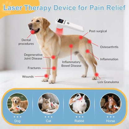 MBBQNN red light therapy device being used on a dog for joint relief