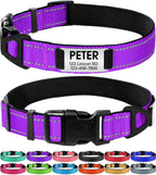 Adjustable nylon strap of Joytale dog collar for medium dogs