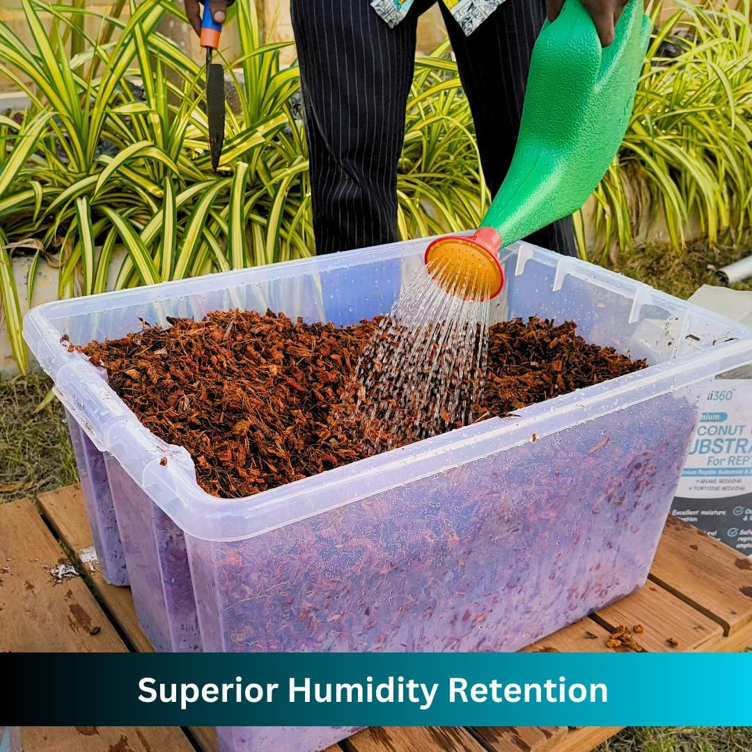 Hydrating the Repti360 coconut chip reptile substrate block in a large container with water.