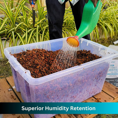 Hydrating the Repti360 coconut chip reptile substrate block in a large container with water.