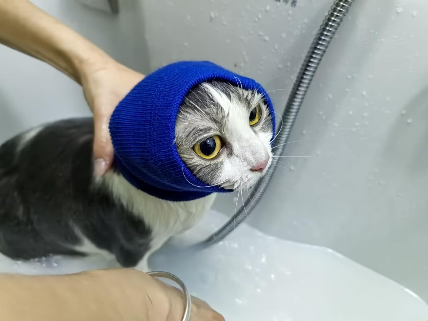 Cat wearing DDFS anxiety relief ear cover side profile