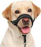 Barkless soft dog head collar front view black nylon
