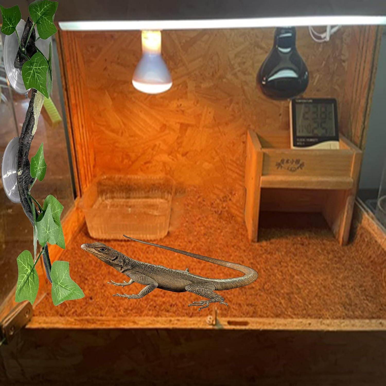 PINVNBY reptile corner branch size scale reference