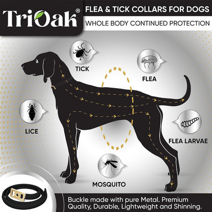 TevraPet dog collar packaging highlighting 12-month protection