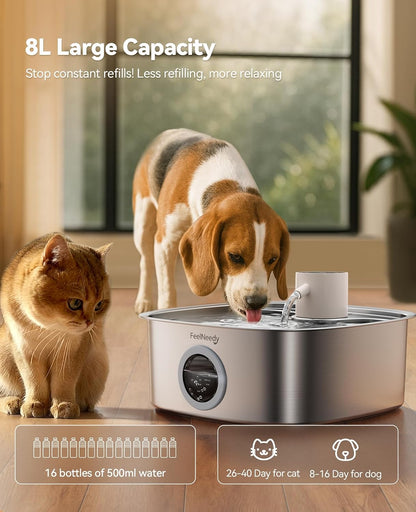 Feelneedy 8L pet fountain in modern home setting