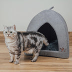 Best Pet Supplies cat house placed in a living room