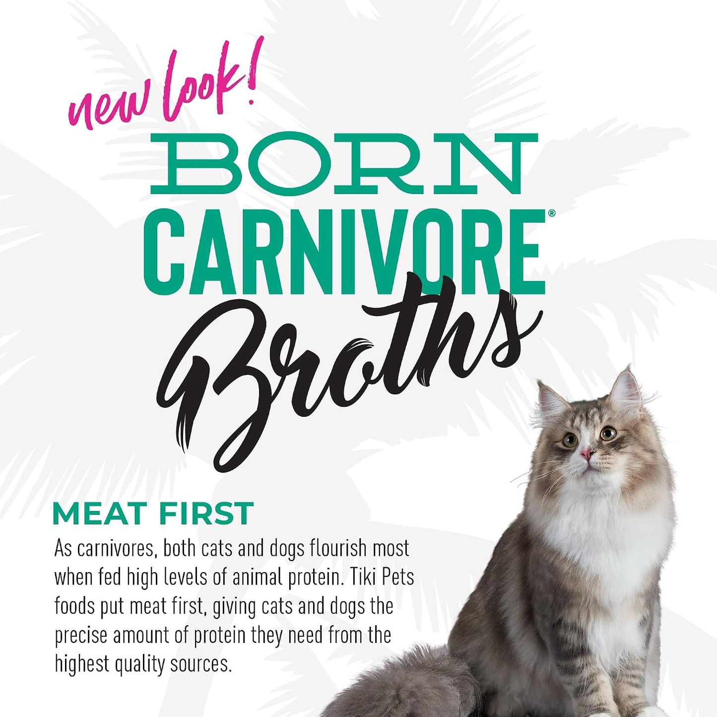 Tiki Cat Born Carnivore Broths, Tuna Recipe, Hydration and Flavor Supplement Cat Food Topper, 1.3 oz. Pouch (Pack of 12) - Image 9