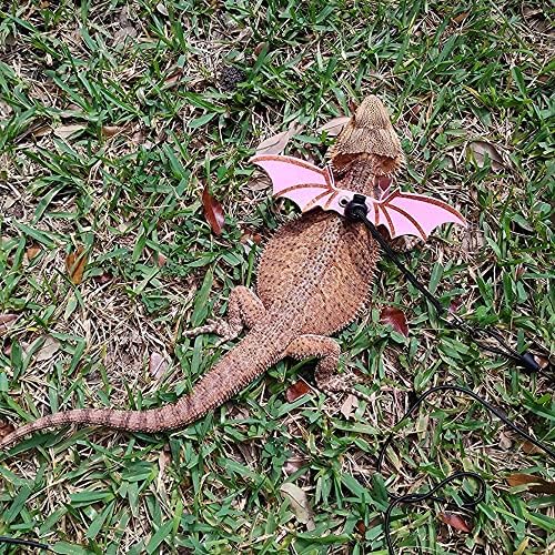 Close up of soft leather material on bearded dragon harness
