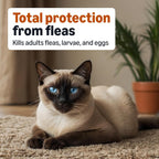 Back label showing active ingredients imidacloprid and pyriproxyfen for cats