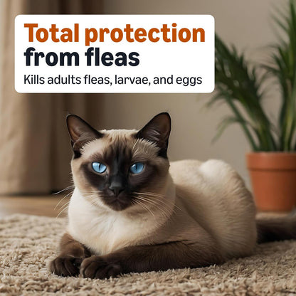 Back label showing active ingredients imidacloprid and pyriproxyfen for cats