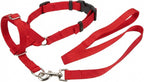 Zevey dog training collar adjustable head halter front view in vibrant red color.