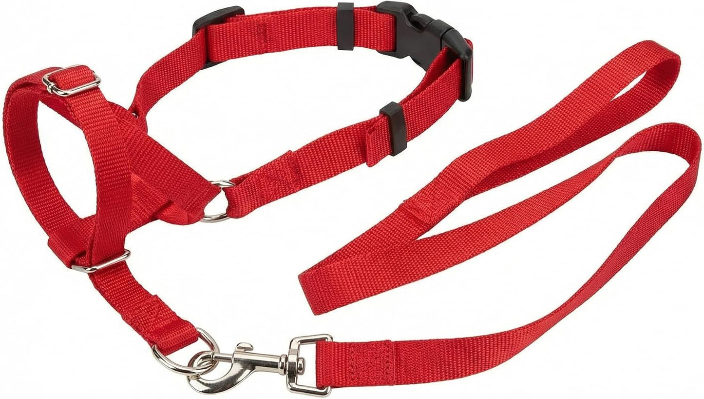 Zevey dog training collar adjustable head halter front view in vibrant red color.