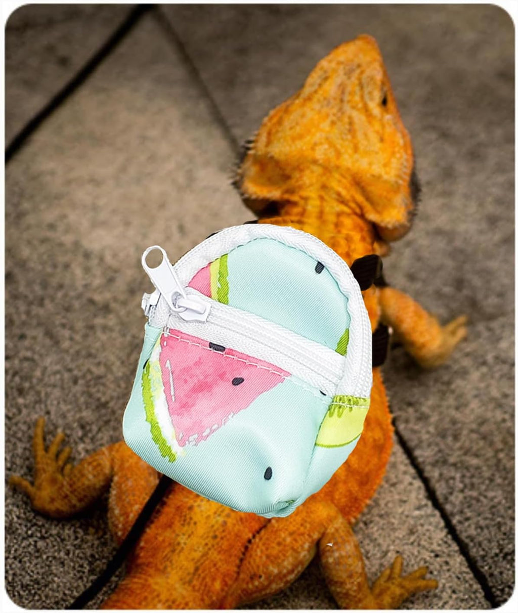 Bearded Dragon Backpack Carrier,Reptile Portable Backpack Carrier with Small Backpack Harness Leash Set,Space Capsule Clear Bubble Window Travel Backpack for Lizard Travel,Guinea Pig,Rabbit - Image 7