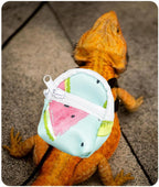 Bearded Dragon Backpack Carrier,Reptile Portable Backpack Carrier with Small Backpack Harness Leash Set,Space Capsule Clear Bubble Window Travel Backpack for Lizard Travel,Guinea Pig,Rabbit - Image 7