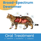 Morvequa feline deworming tablets with chicken flavor callout for easy administration to kittens.
